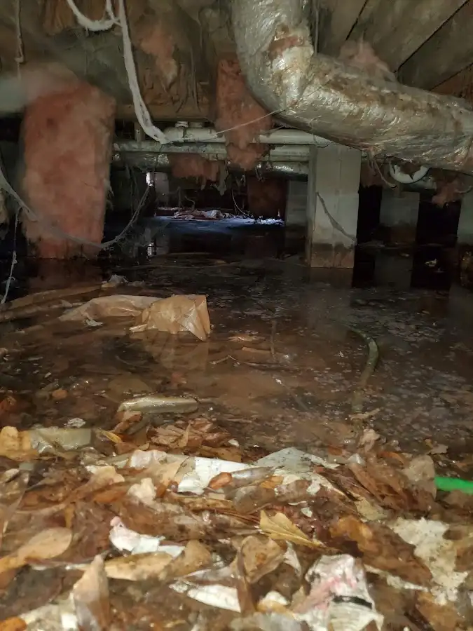 Crawl space flood assessment for Commercial Water Damage Restoration in Williams