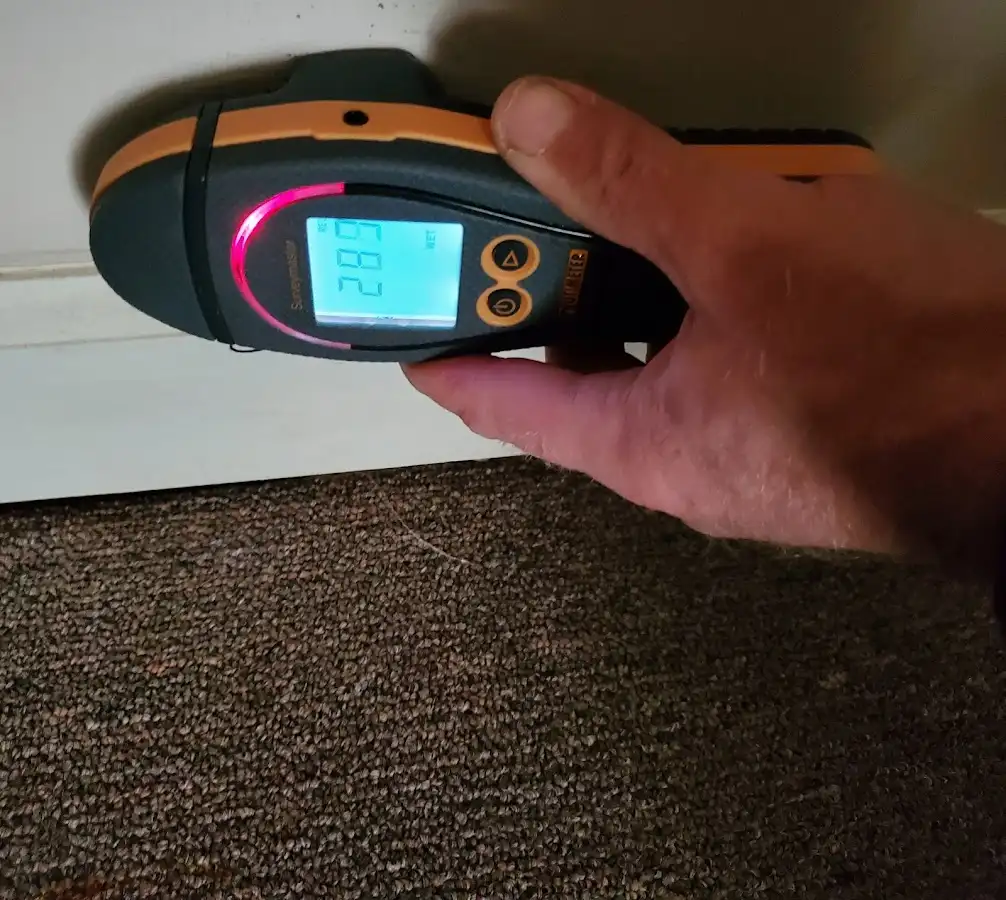 Moisture detection at baseboard during Sewage Cleanup & Sanitation in Williams
